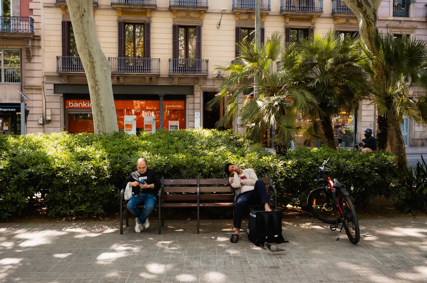 Two people at either end of a bench on a tree-lined boulevard, a bicycle leaning against the hedge behind them