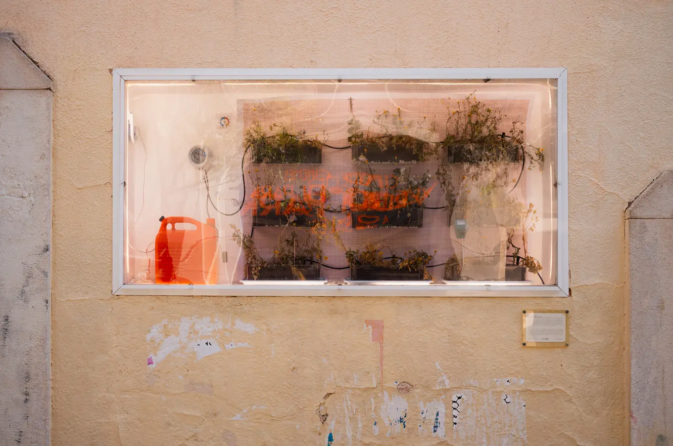 A lit window in a yellow wall, rows of planters and dried plants behind plastic sheeting, an orange canister at one end