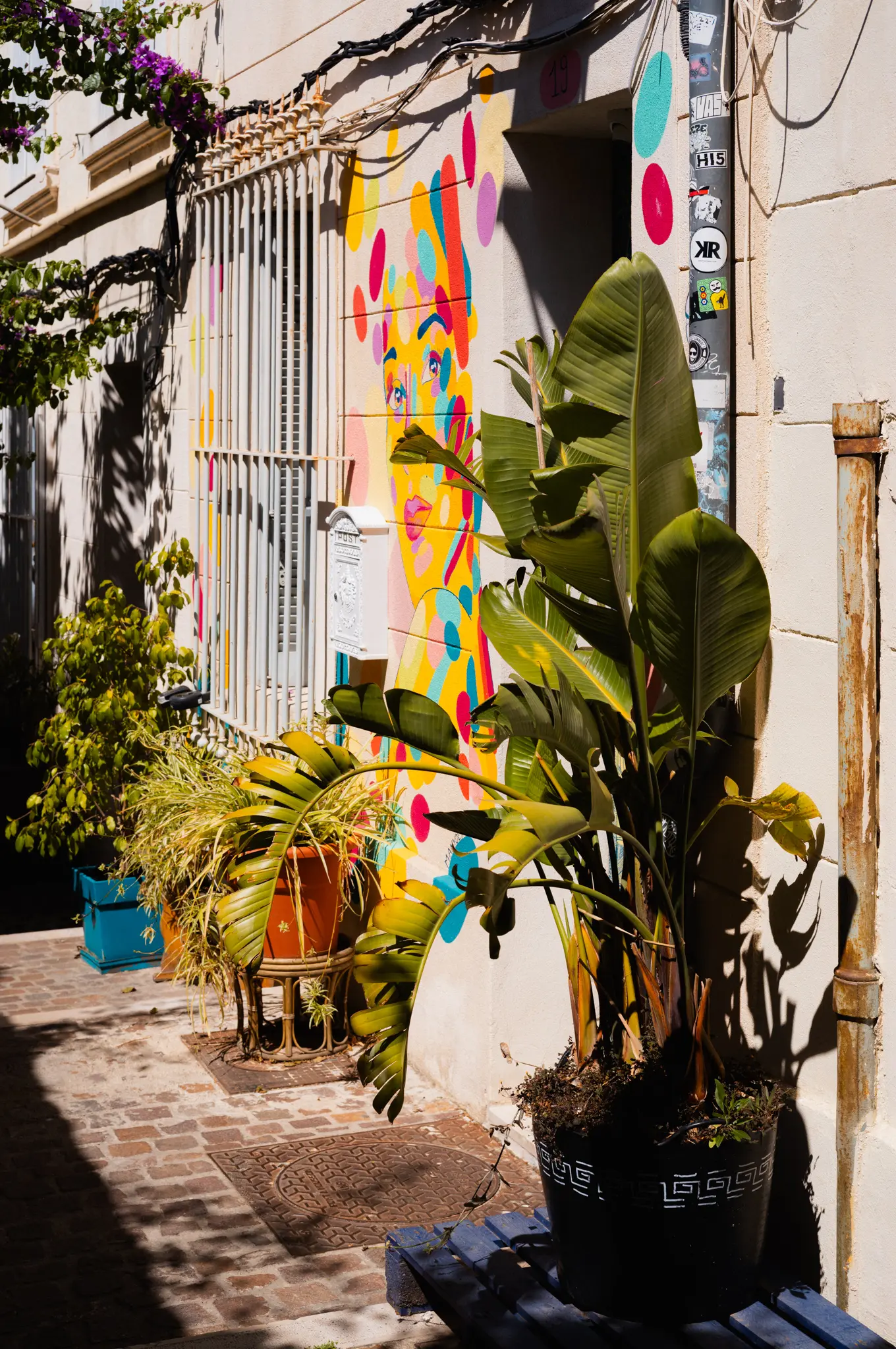 Potted banana plants and palms against a barred window, a brightly painted mural of a face on the wall behind them
