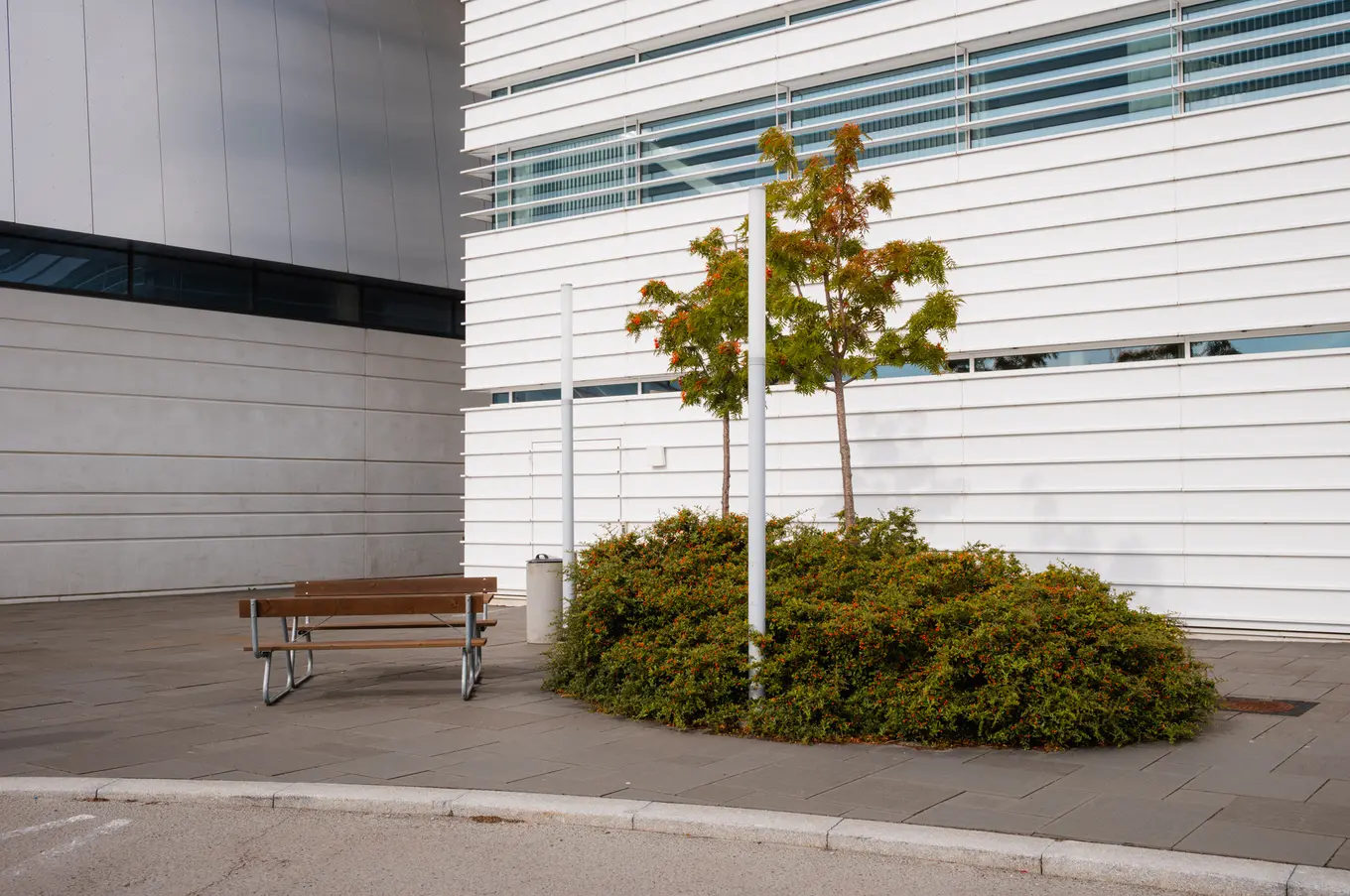 A picnic table and a bed of rowans against the white slatted facade of the laboratory
