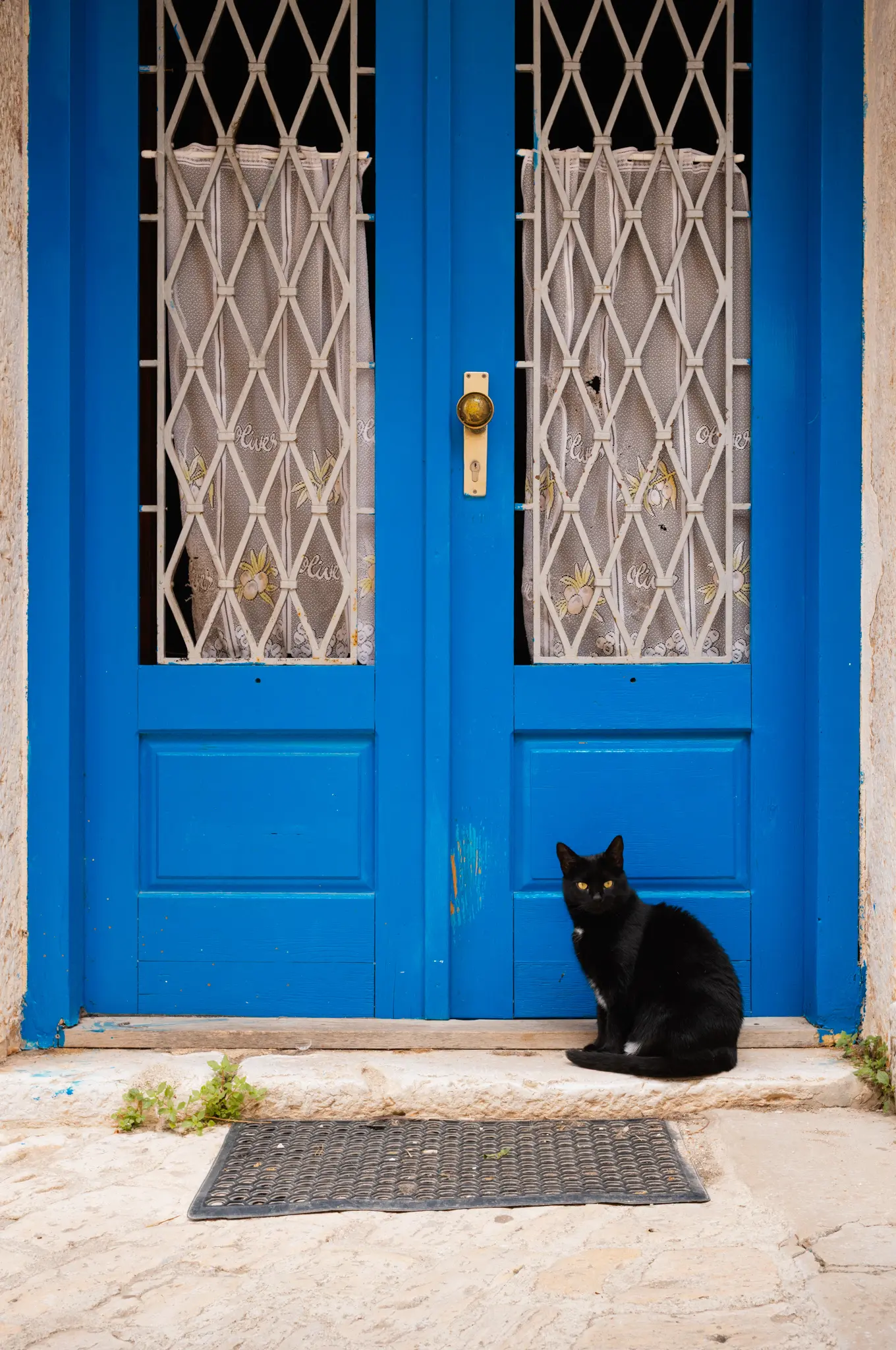 A black cat sitting at the foot of a bright blue double door